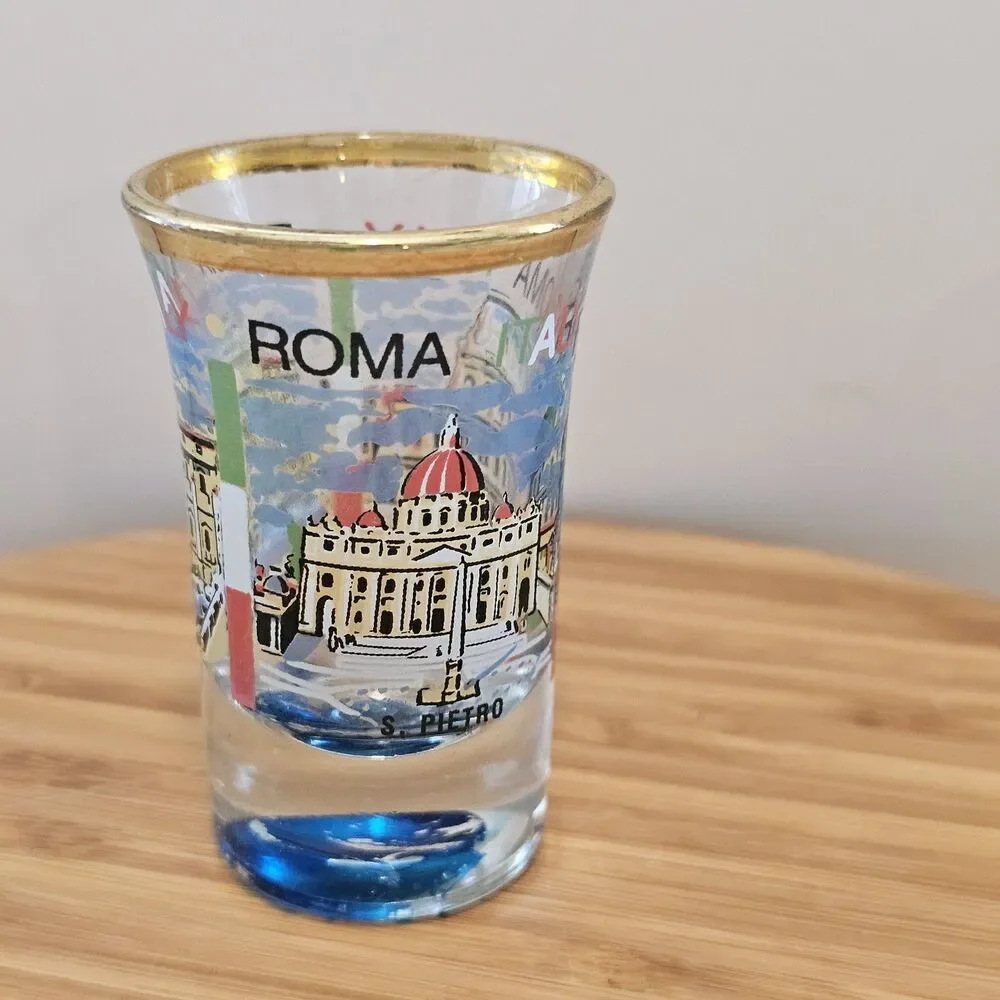 5 Shot Glasses, Rome, Belize, Floral, Florida, Dumb One ;)